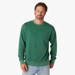 Saltaire Crewneck (2-Pack) 12 Saltaire Crewneck (2-Pack) -Fair Harbor Shop F22 SALTAIRECREWNECK COASTALGREEN ON FIG 0193 fdb84118 abe2 4c18 a528 46b6108868ad